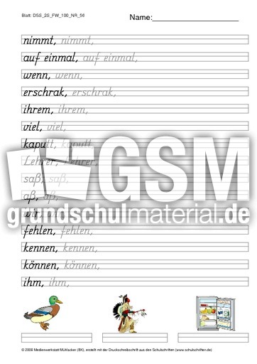 DSS_2S_FW_100_NR_56.pdf